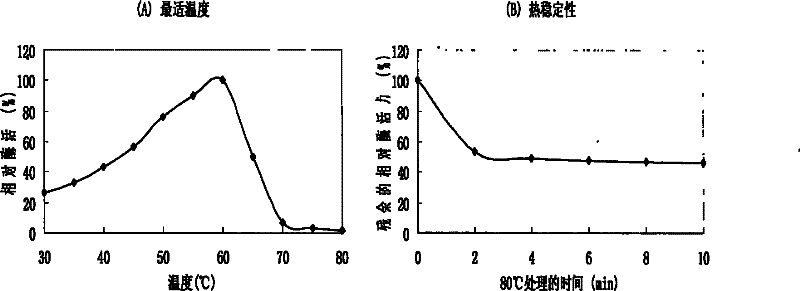 Novel phytase, encoding gene, cell and feedstuff additive including the enzyme