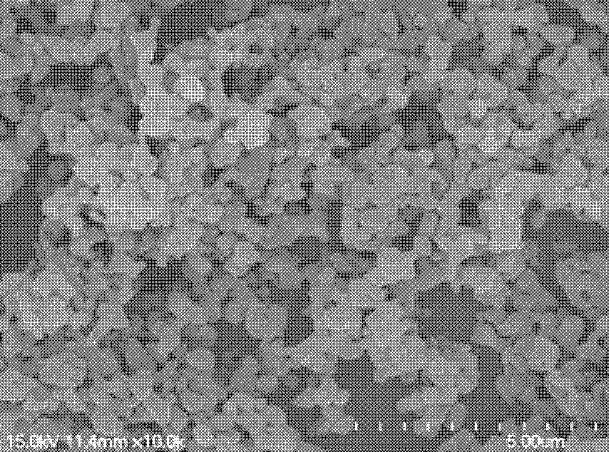 Anode material for lithium ion battery and preparation method thereof