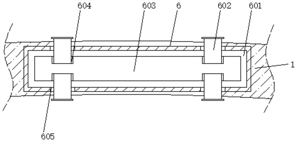 Field standardized breeding method for ranunculus japonica in Huang-Huai-Hai basin