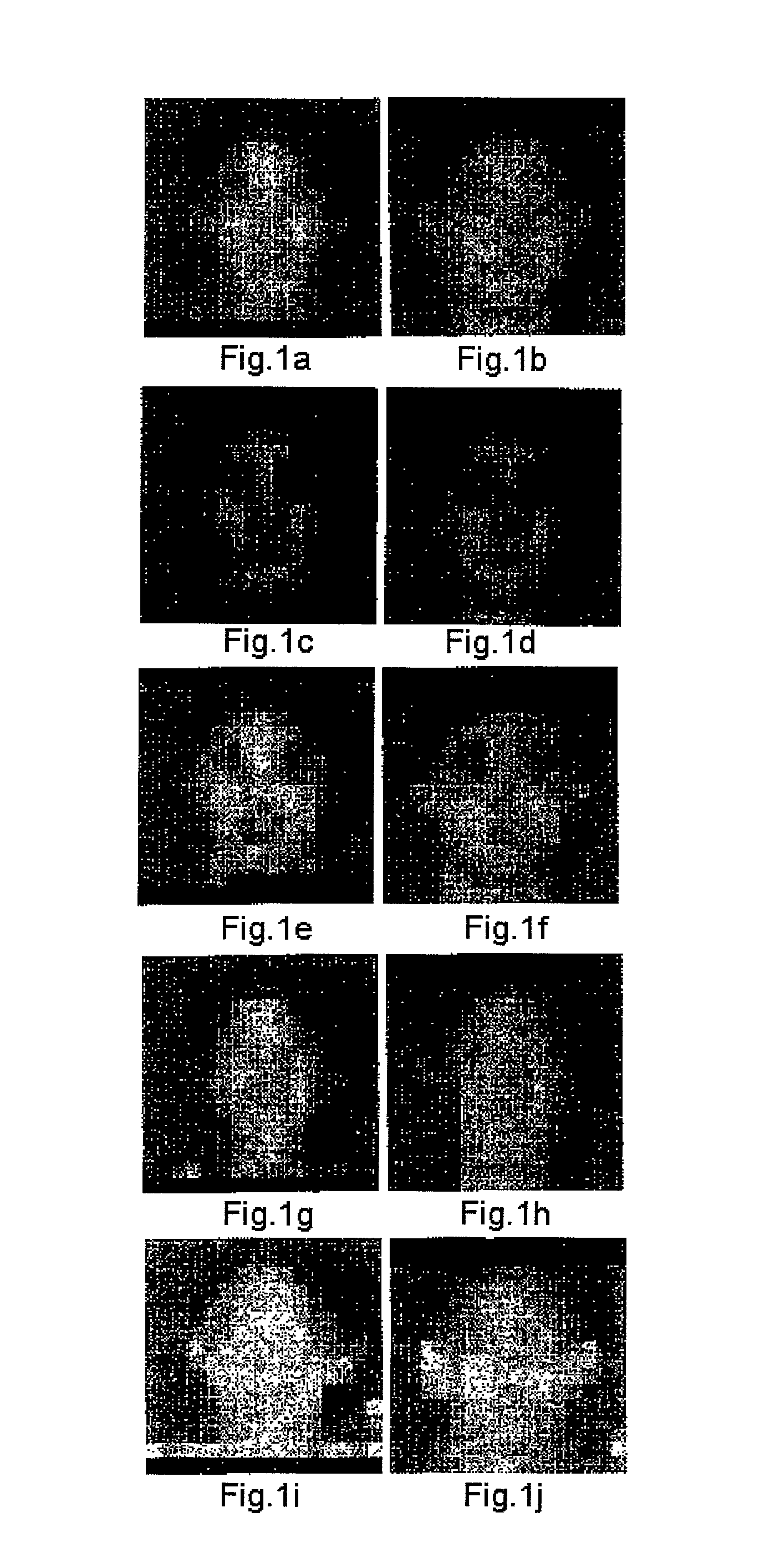 Image coding method and apparatus and image decoding method and apparatus