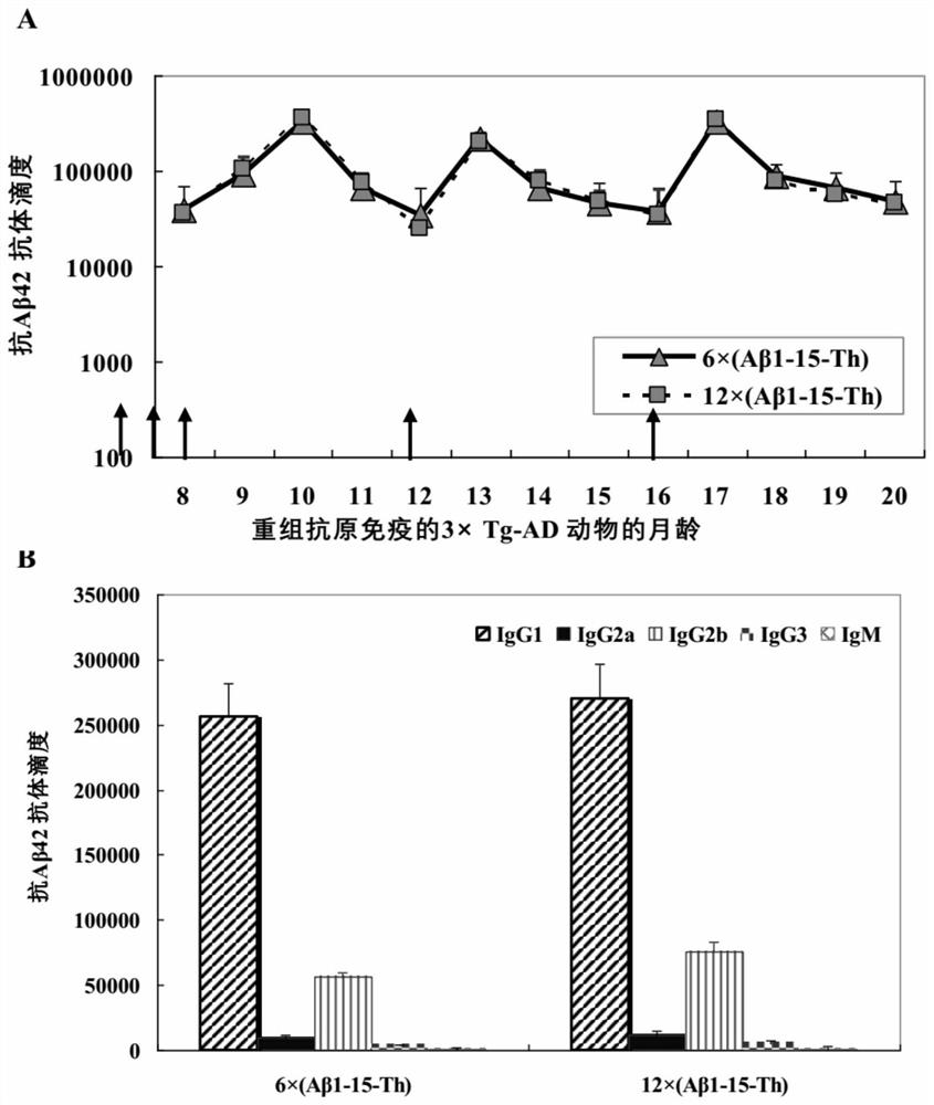 Conformation-specific recombinant aβ1-42-like oligomer antigen, its preparation method and application