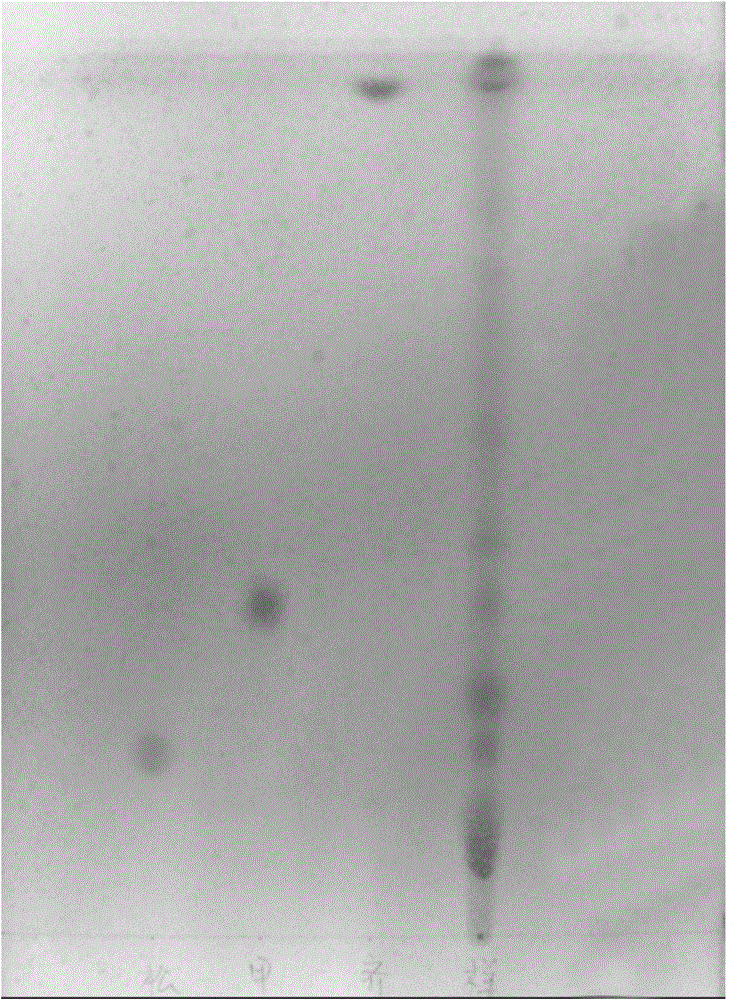 Thin-layer chromatography detection method of traditional Chinese medicine composition for increasing animal immunity