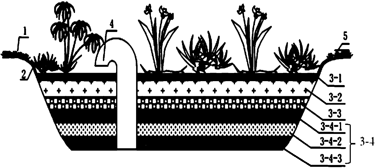 Functional rainwater garden applicable to sponge community