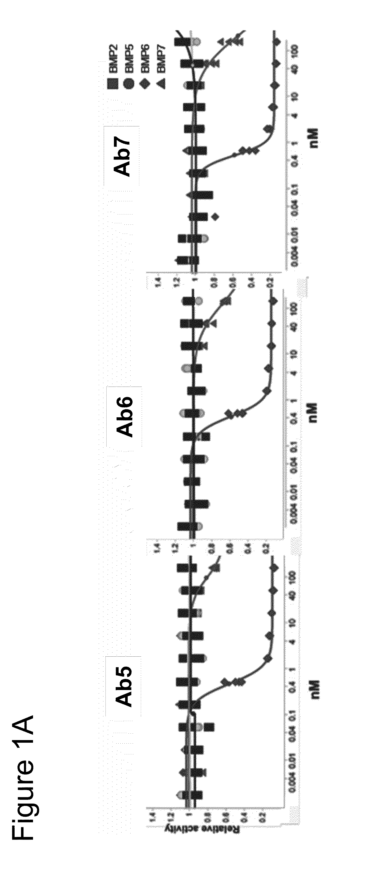 Compositions and methods for antibodies targeting bmp6