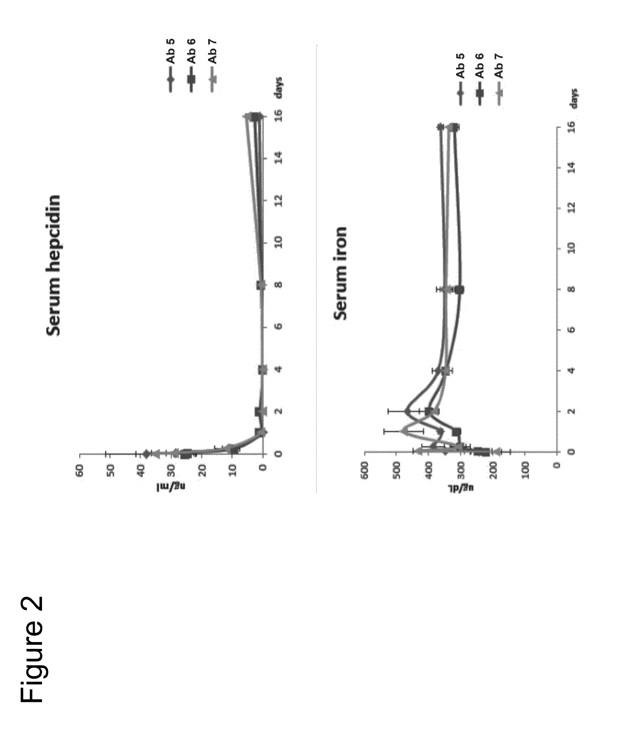 Compositions and methods for antibodies targeting bmp6