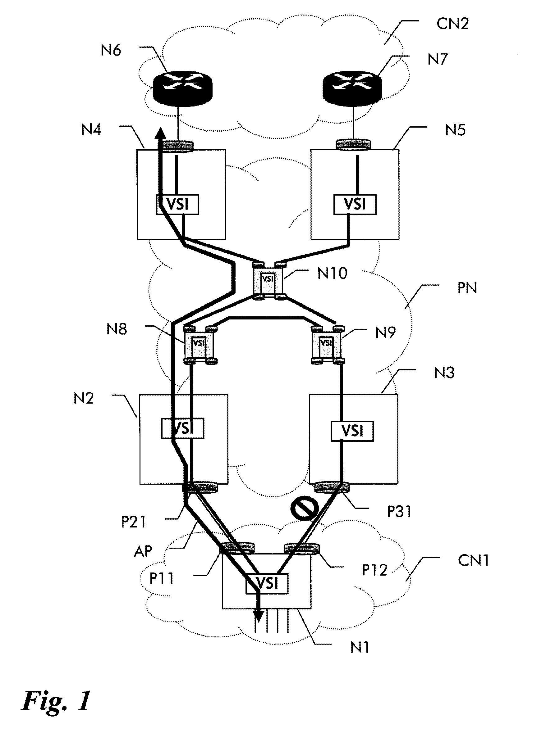 Method for Client Data Transmission Through a Packet Switched Provider Network