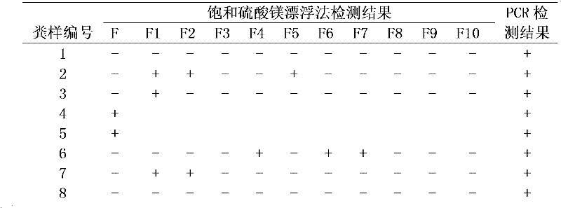 PCR (Polymerase Chain Reaction) method for detecting Baylisascaris schoederi eggs in panda excrement sample