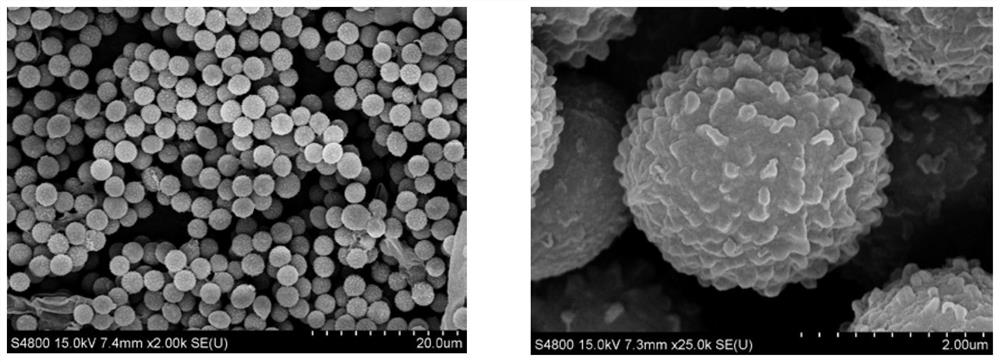 Method for producing pectinase preparation through solid-state fermentation of penicillium