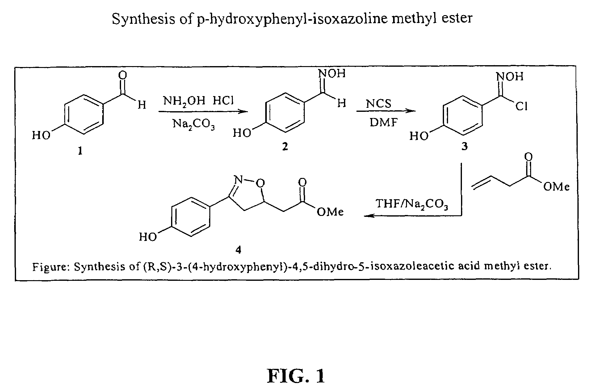 Isoxazoline compounds having MIF antagonist activity