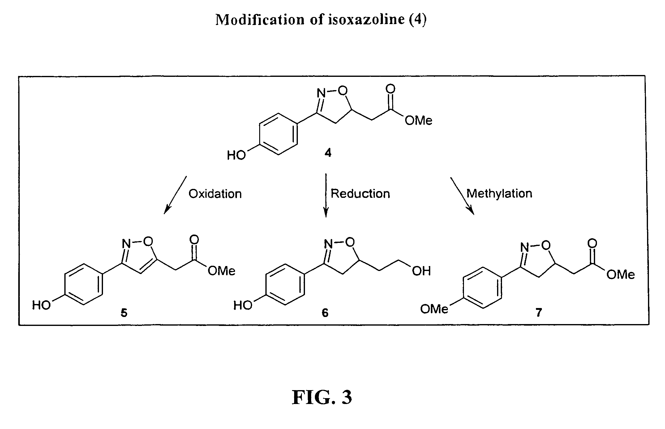 Isoxazoline compounds having MIF antagonist activity