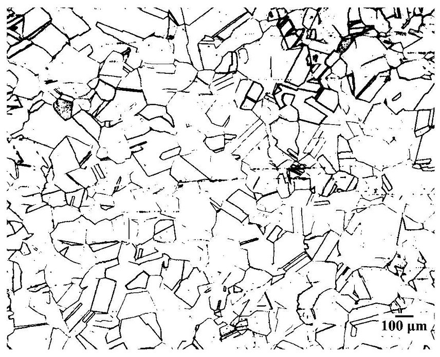 Metallographic display method of nickel-saving austenitic stainless steel