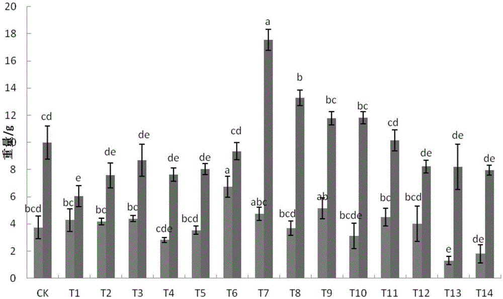 A kind of spinach cultivation medium and its preparation method and application