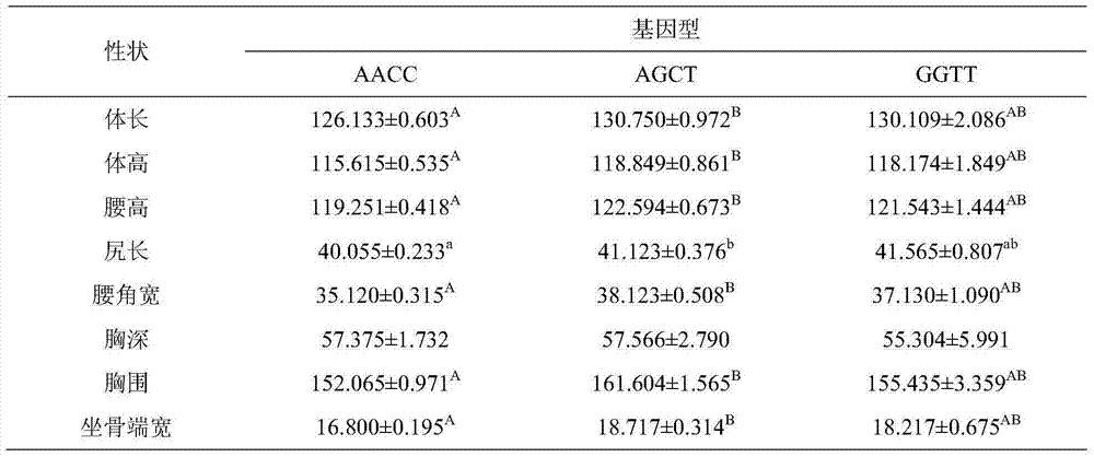 Method for detecting body sizes of Qinchuan cattle through using ANAPC13 gene