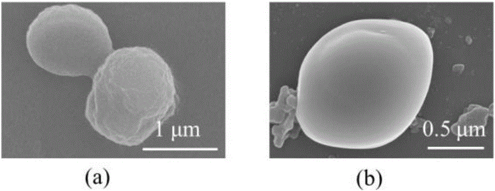 Preparation method of polydopamine microcapsule oral insulin administration carrier