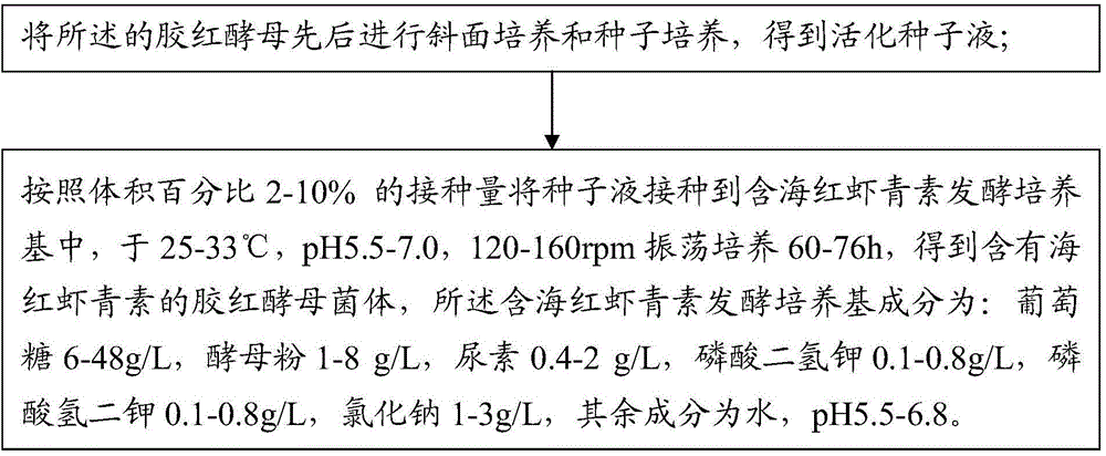 Rhodotorula mucilaginosa and application thereof in fermentation production of sea red astaxanthin