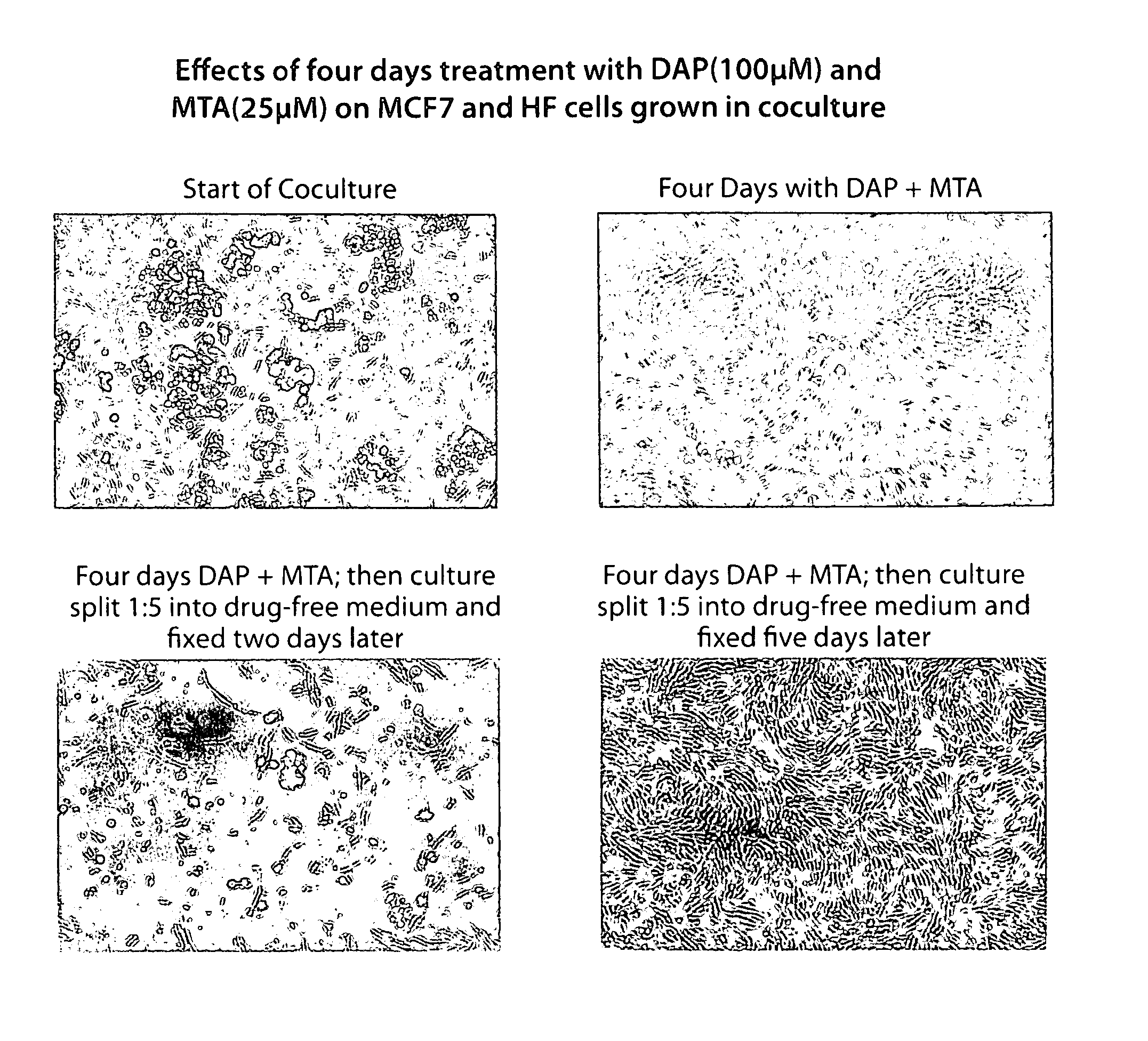 Method for the selective therapy of disease