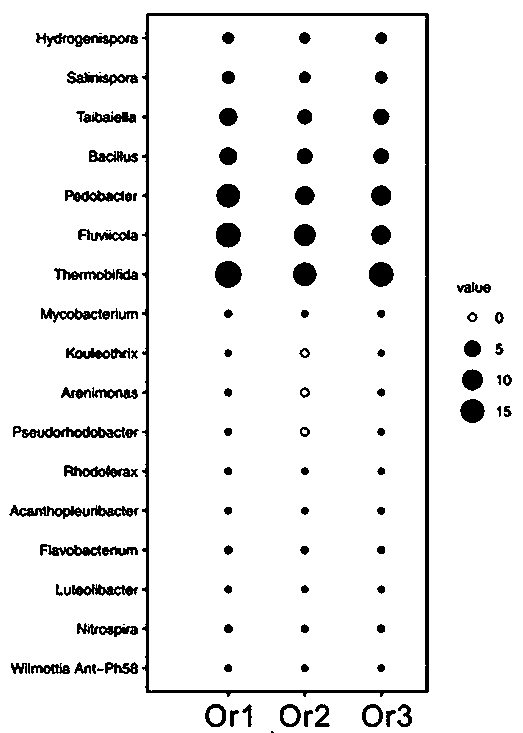 Water body remediation microbial inoculum and preparation method thereof