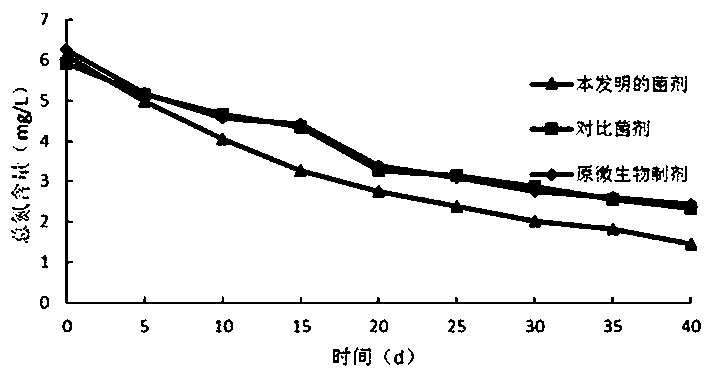 Water body remediation microbial inoculum and preparation method thereof