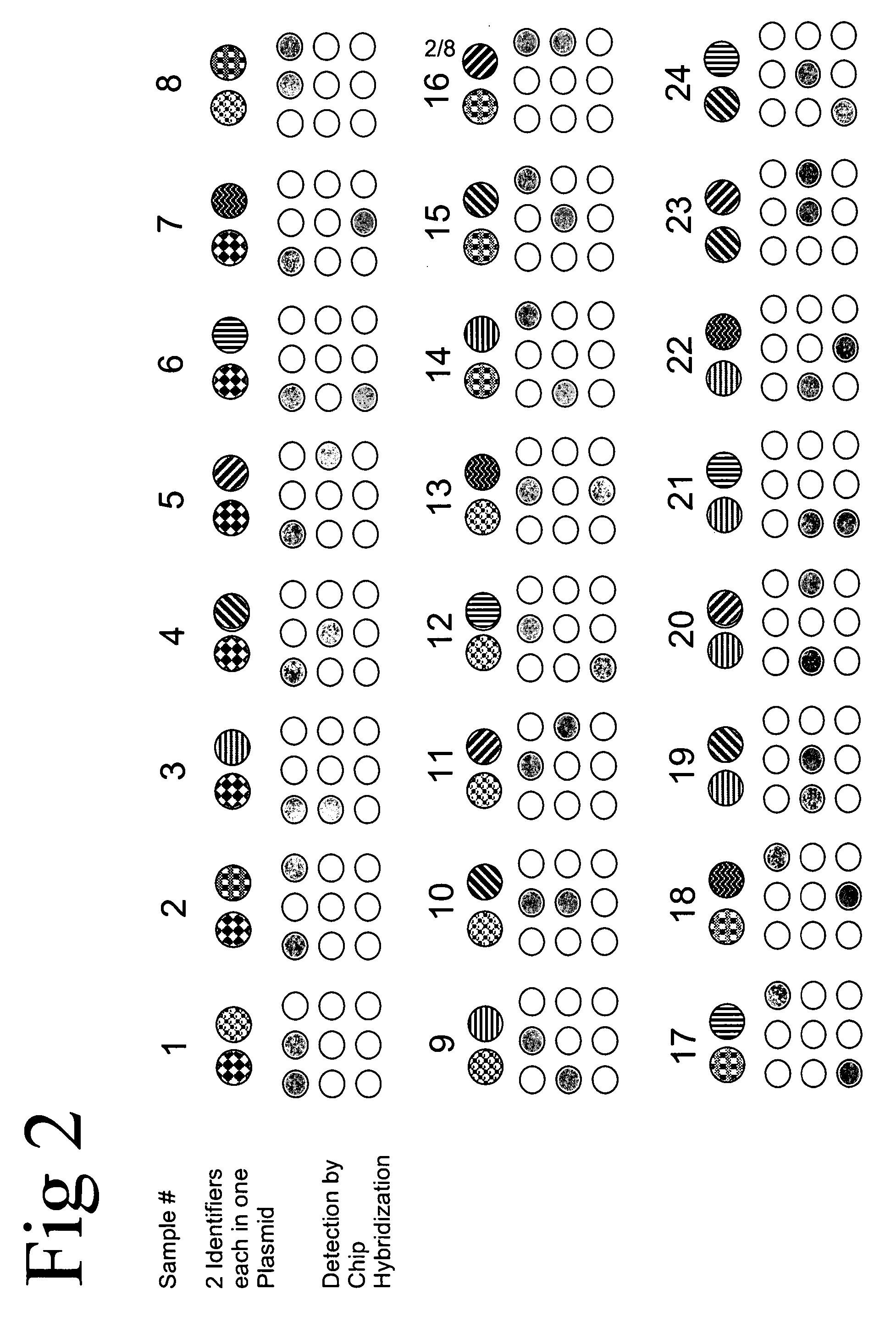 Method of identifying a biological sample for methylation analysis