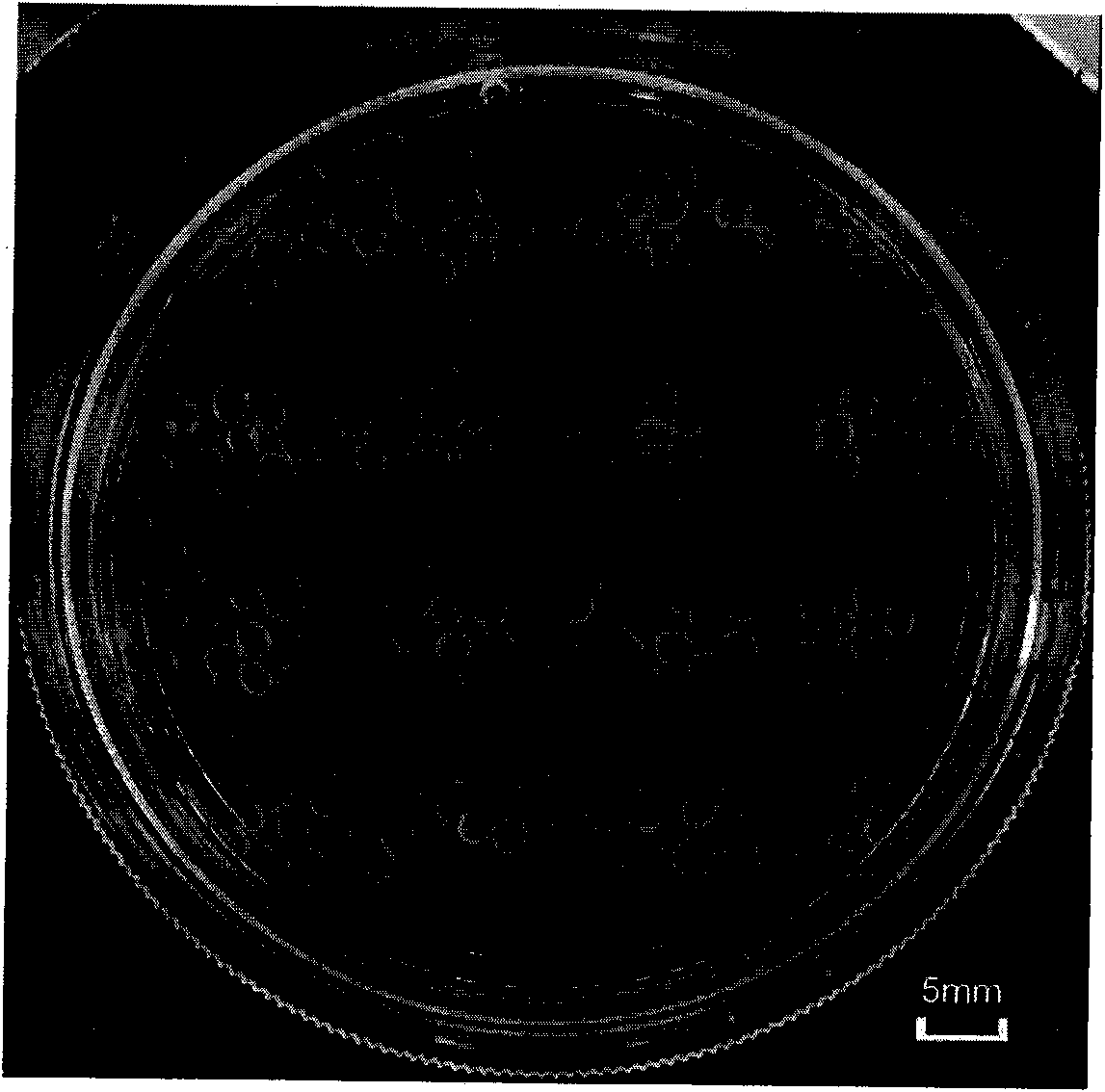 Method for culturing hematopoietic stem/progenitor cells