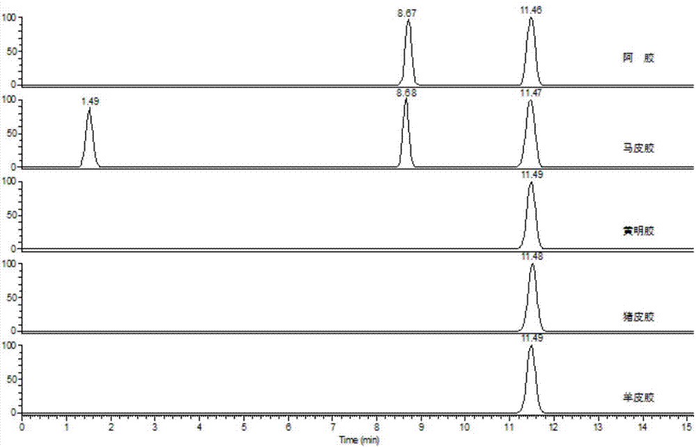 Composition, kit and detection method for identifying authenticity of colla corii asini