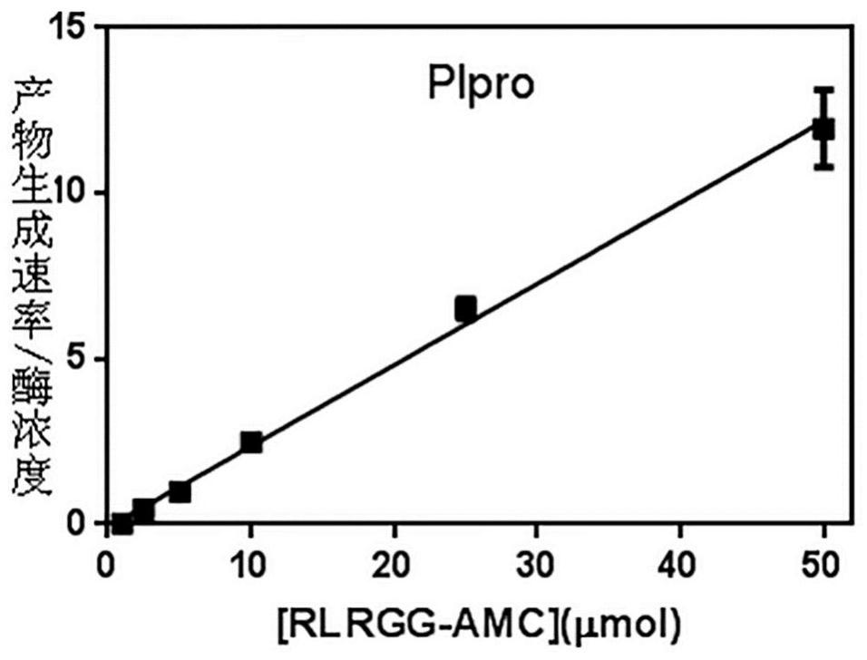 Papaya-like protease inhibitor screening kit and application thereof