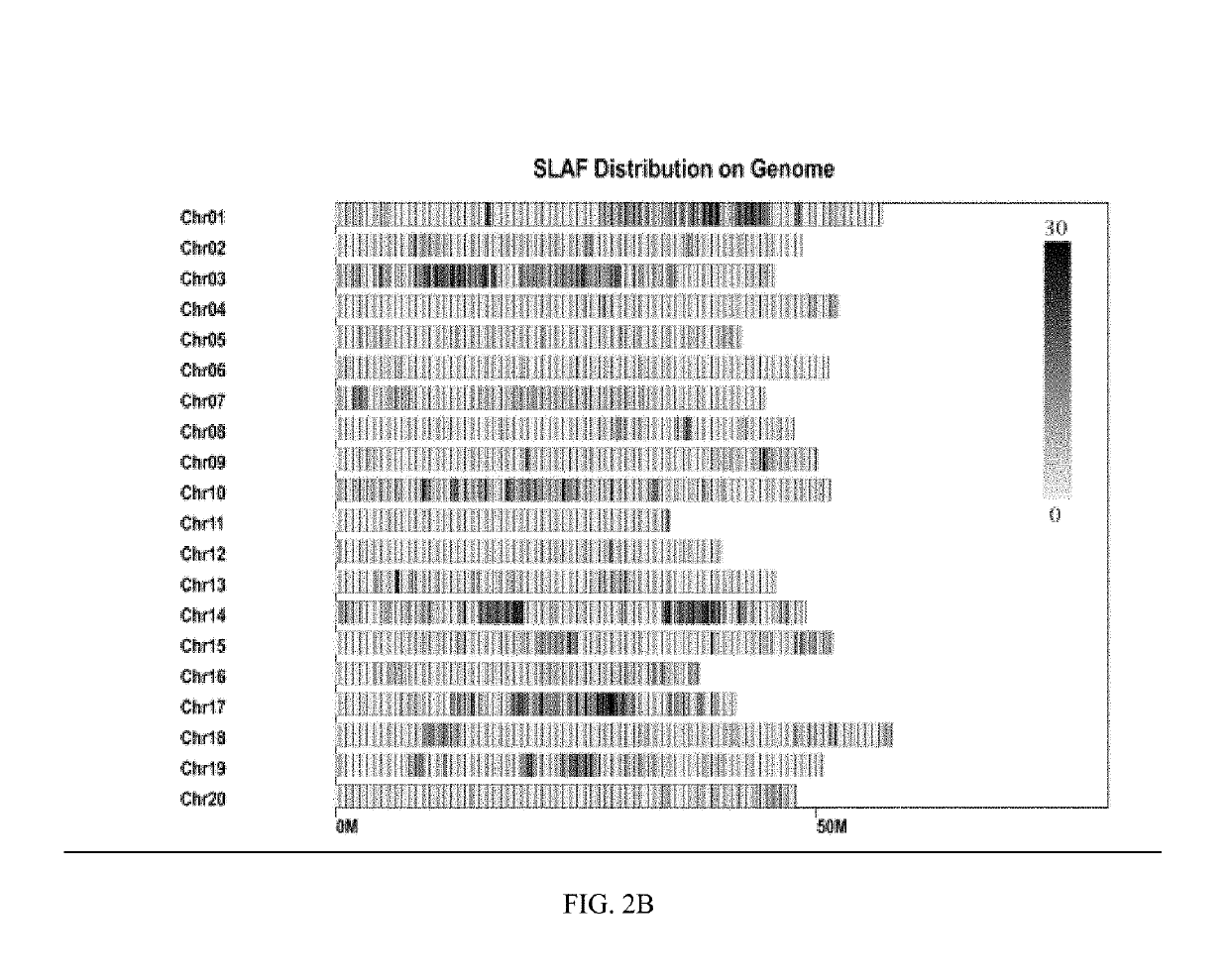 SOYBEAN ANTI-POD-SHATTERING MAJOR QTLqPD05, AND MAPPING METHOD AND APPLICATION THEREOF