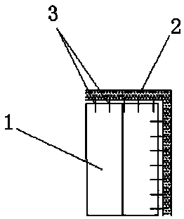 Autoclaved aerated concrete integral wall panel and its production process