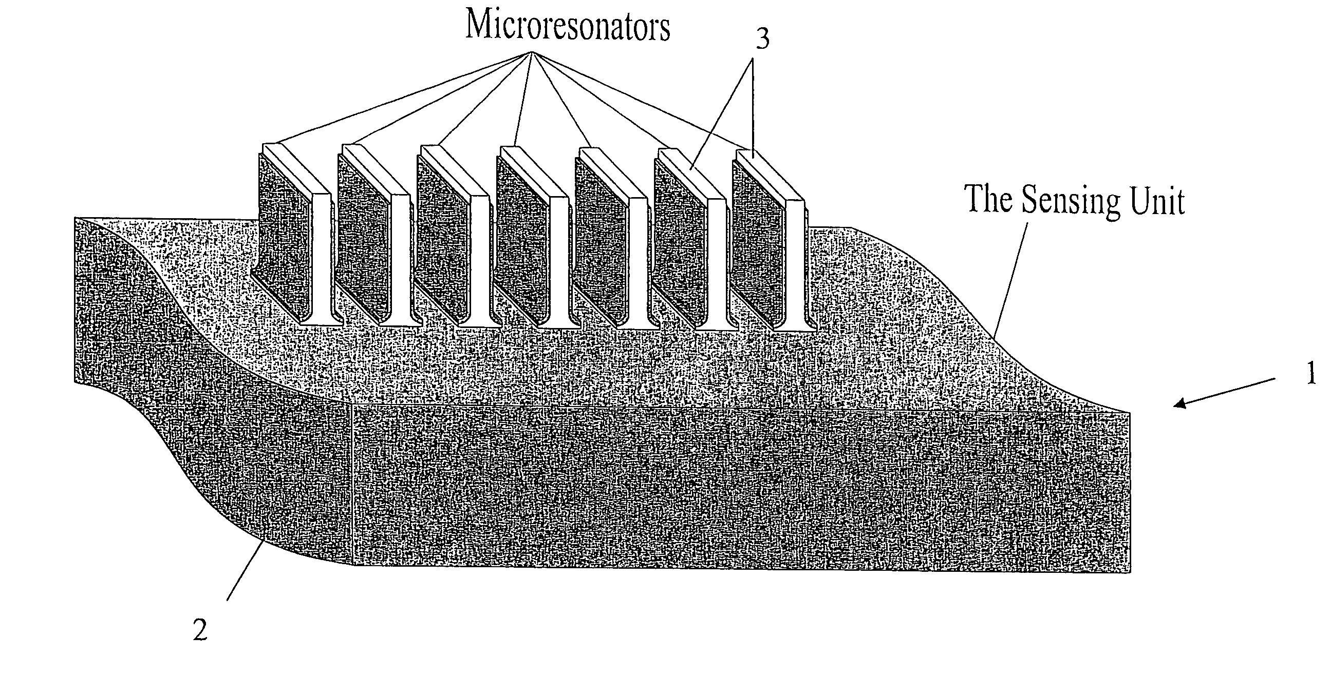 Methodology and apparatus for the detection of biological substances