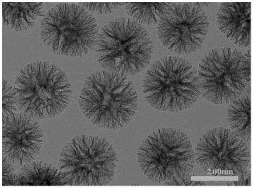 Dendritic silicon dioxide@carbon dot compound nano-particle and preparation method thereof