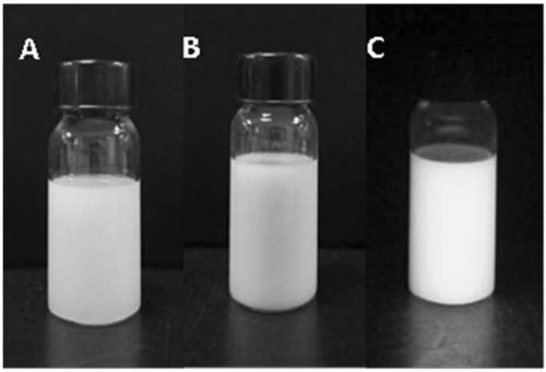 Dendritic silicon dioxide@carbon dot compound nano-particle and preparation method thereof