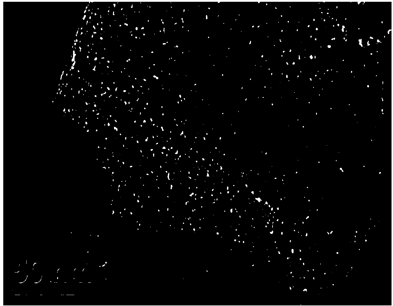 Preparation method of nitrogen-doped hierarchical pore carbon materials