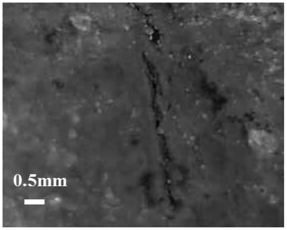 A kind of self-healing material and its preparation method and application