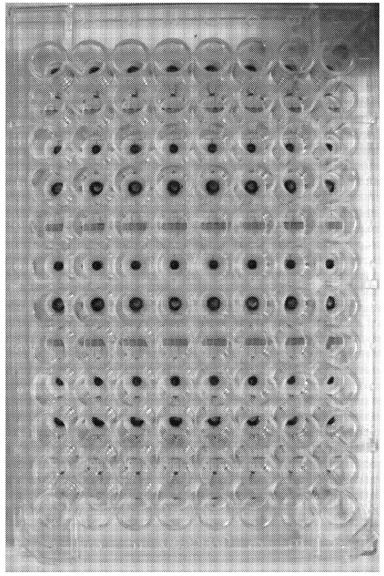 Cell culture array system for automated assays and methods of operation and manufacture thereof