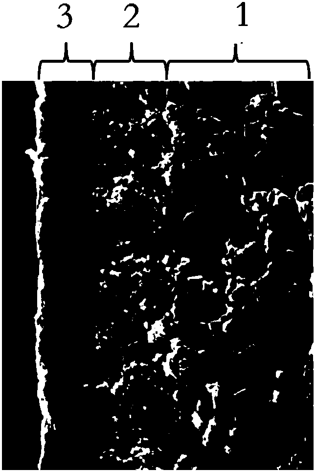 Preparation method of ultrafiltration device