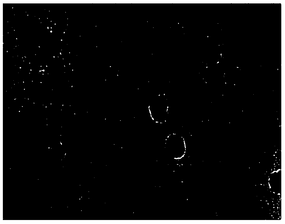 Tumor-targeted nuclear magnetic resonance/fluorescence dual-modal imaging contrast agent and its preparation and application