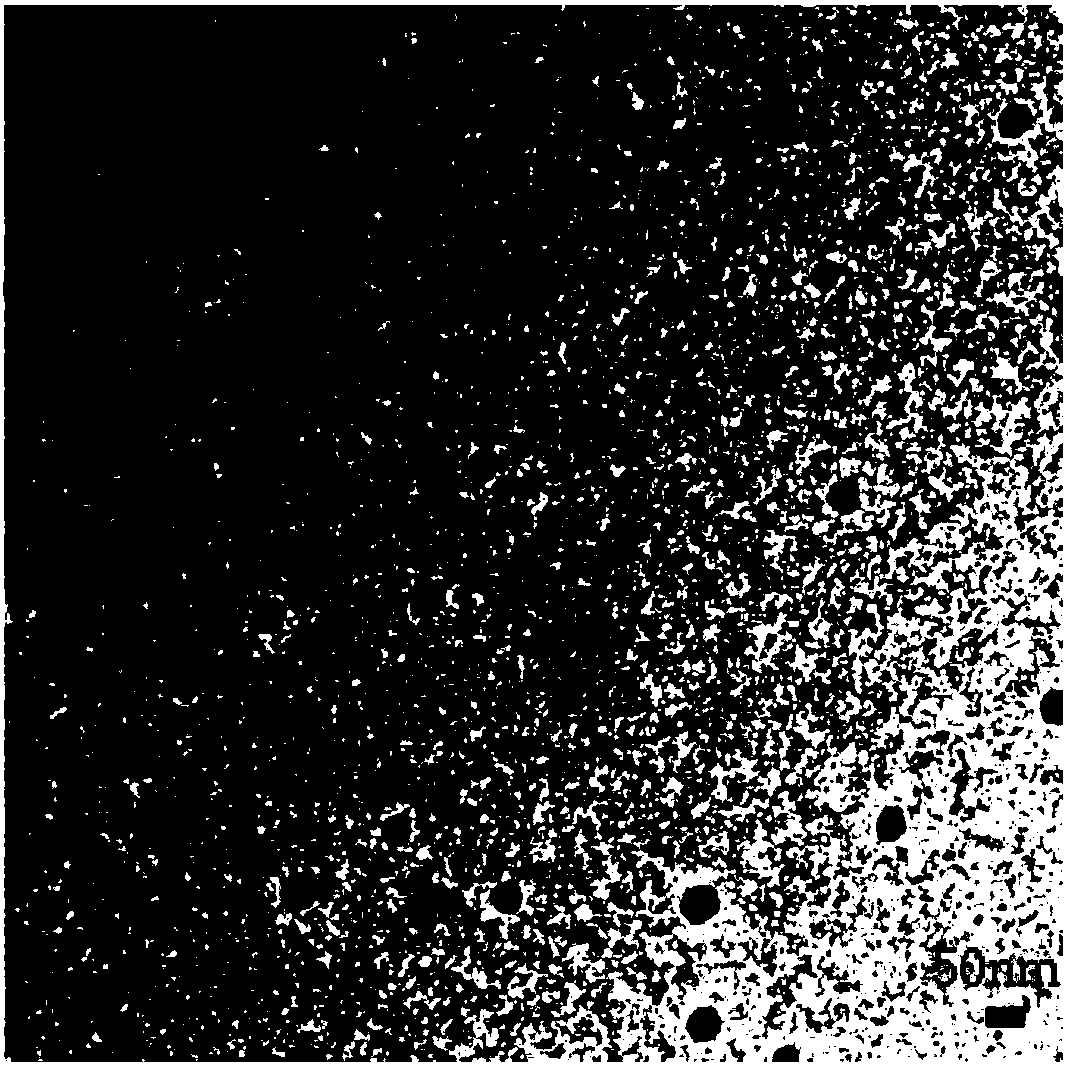 Preparation method of bionic mineralized collagen scaffold