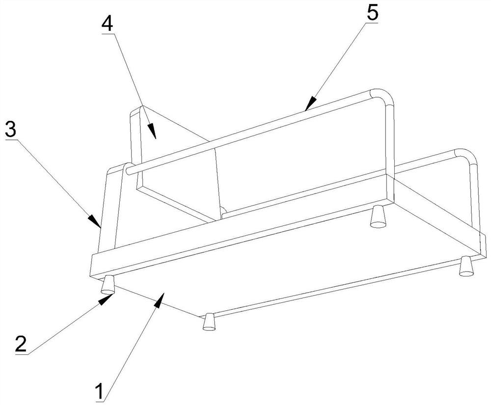 Physical training device for exercising balance sense