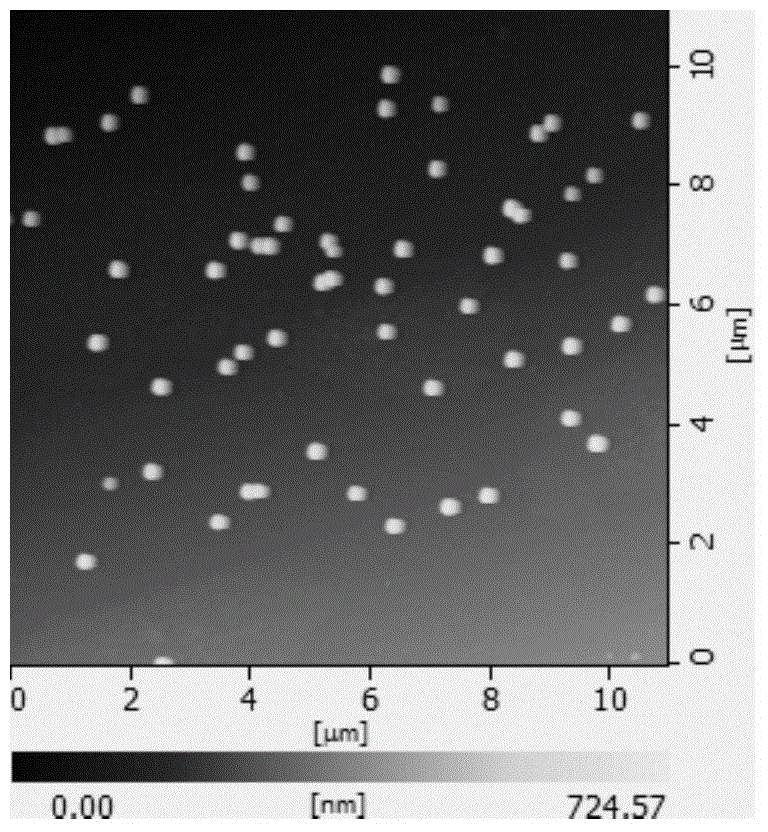 Preparation method of antitumor micelle containing adriamycin