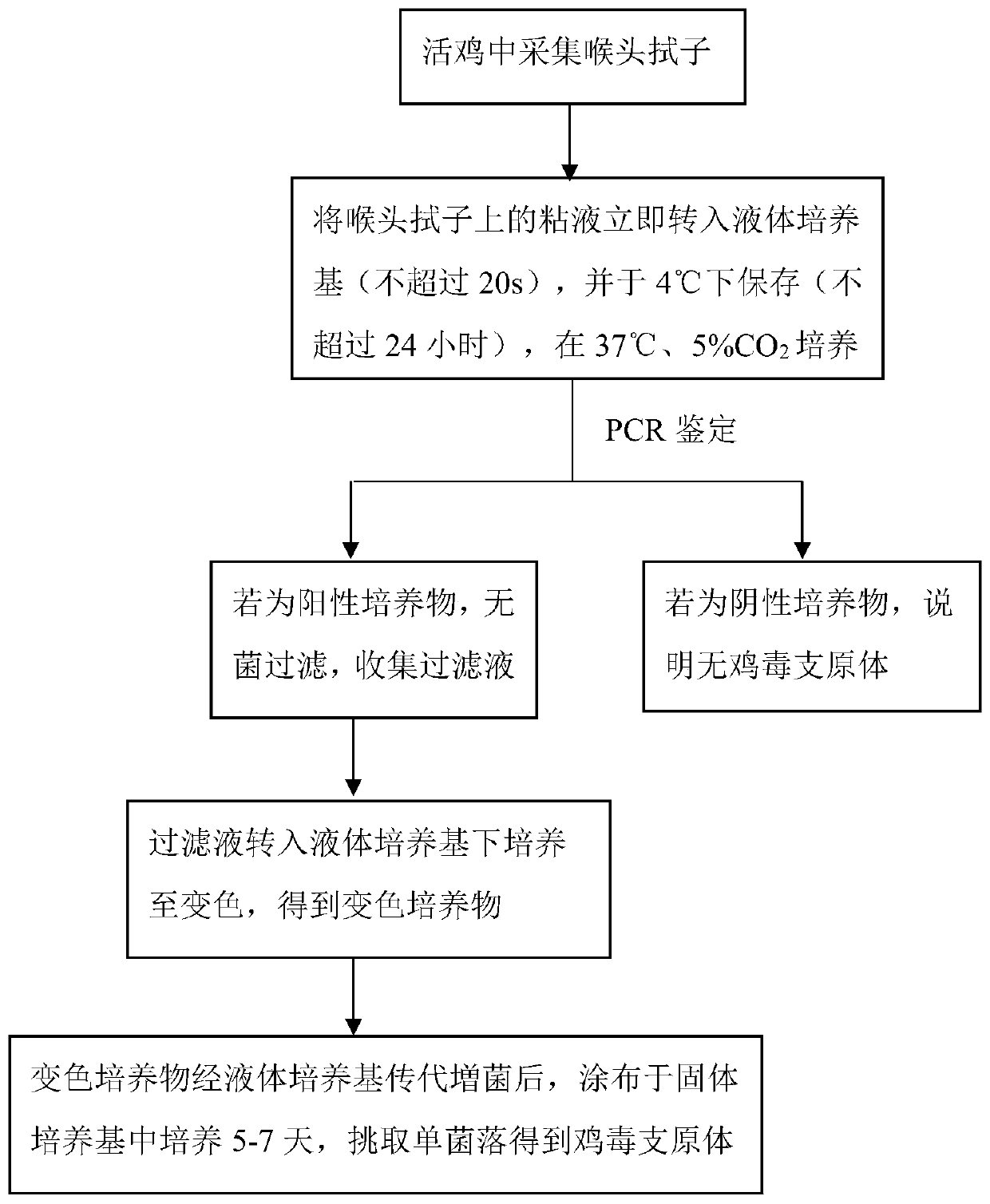 Fluid culture medium and method for isolated-culturing mycoplasma gallisepticum using same