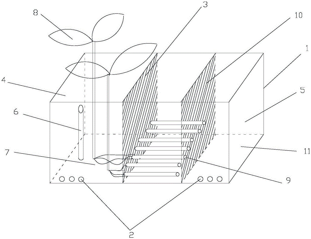 Plant rhizosphere soil and rhizosphere exudate collecting device and method