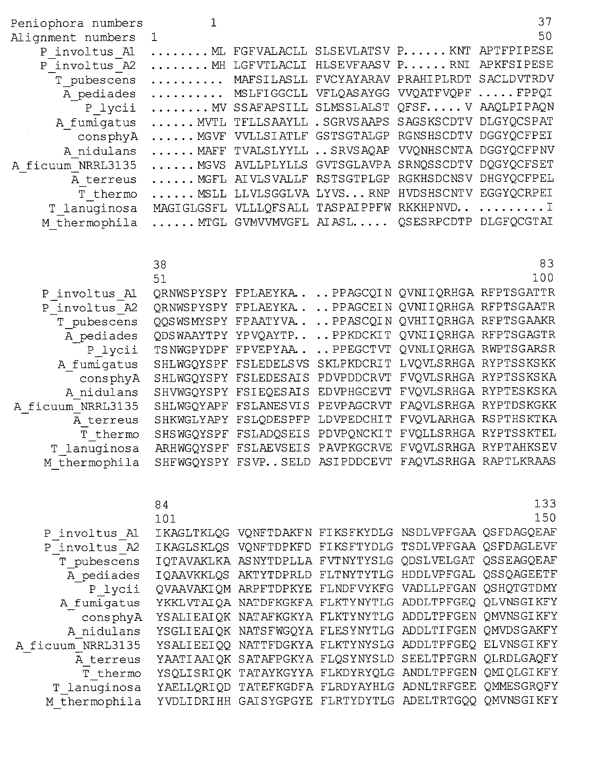 Phytase variants