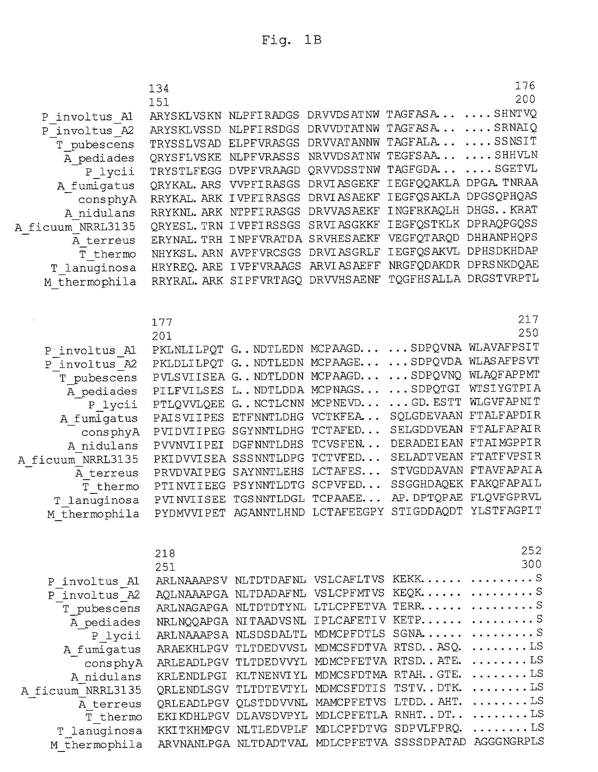 Phytase variants