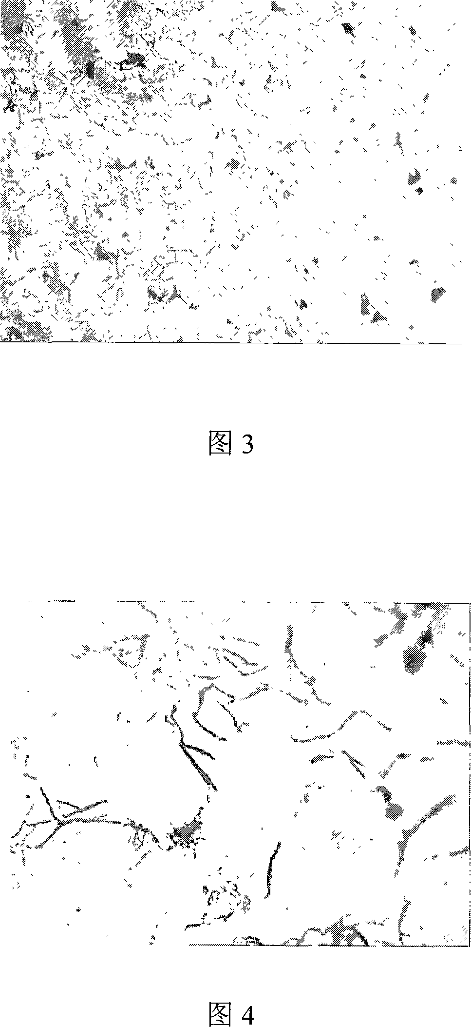 Austenitic gray cast iron material and method for making same