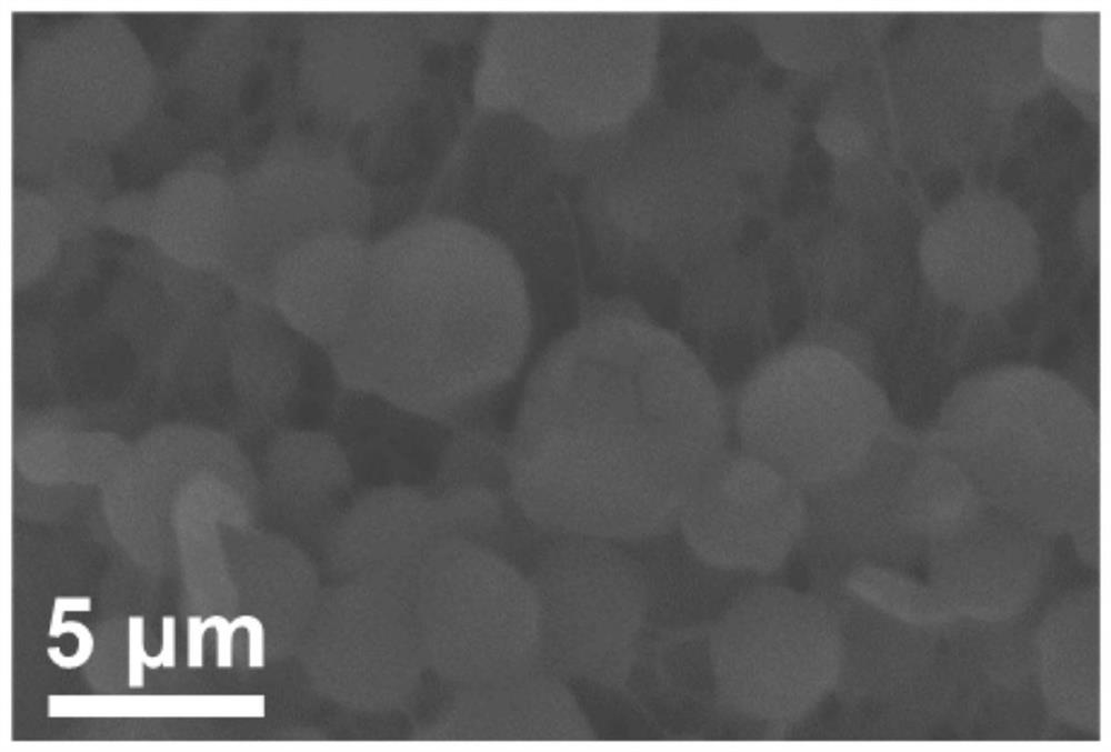 Preparation method of hydrophobic starch food packaging film