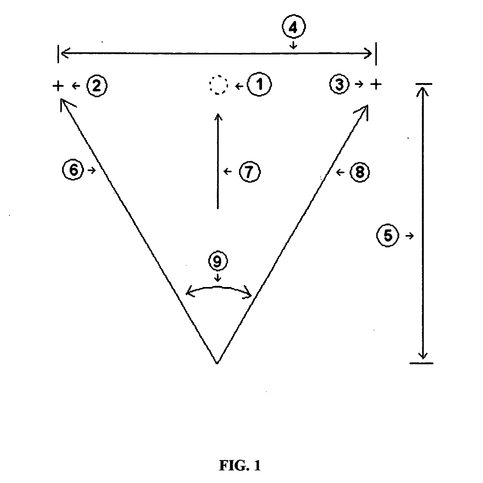 Animated image vision test