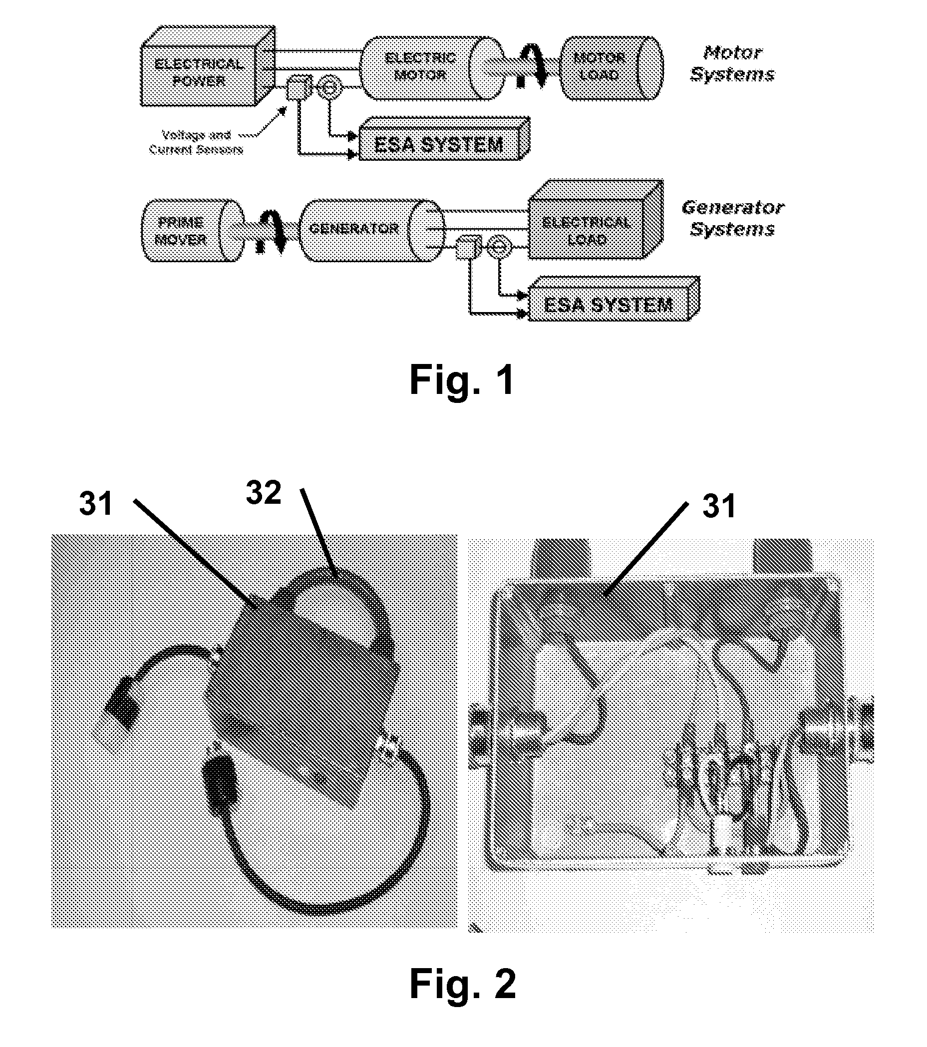 Electrical Signal Analysis to Assess the Physical Condition of a Human or Animal