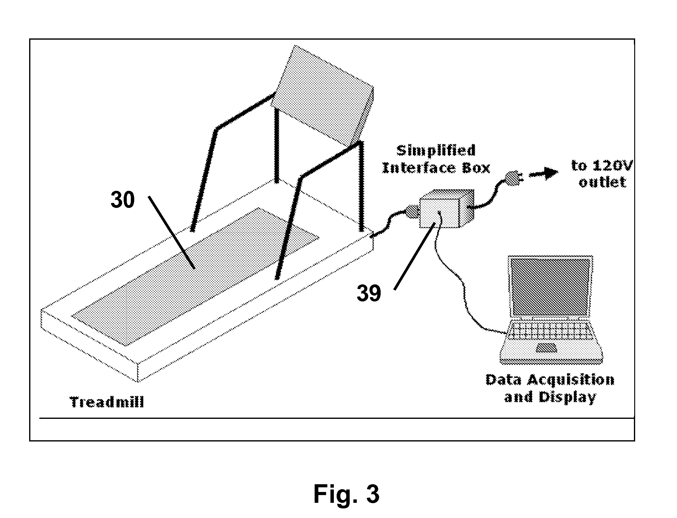 Electrical Signal Analysis to Assess the Physical Condition of a Human or Animal