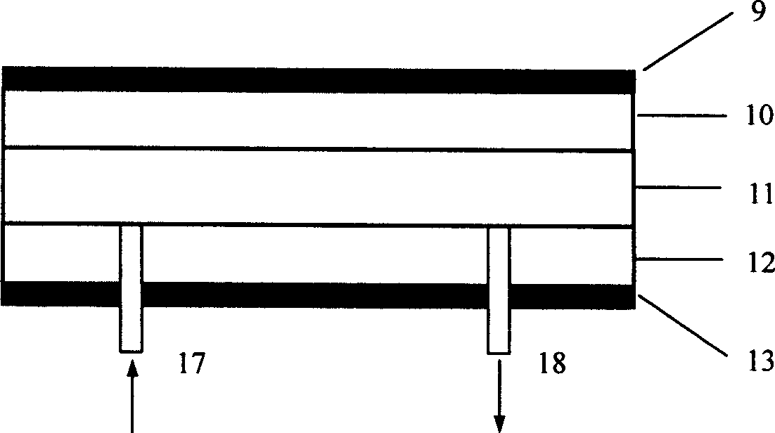 Optical waveguide biochemical sensor and measurement system based on free space coupling