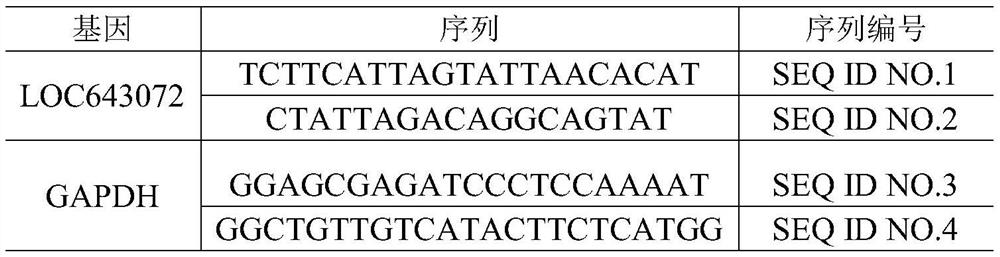 Detection of lncRNA and its application in diagnosis and treatment of osteoporosis